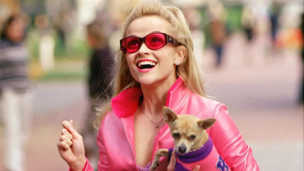 A 'Legally Blonde' Prequel Series Is Confirmed: What We Know