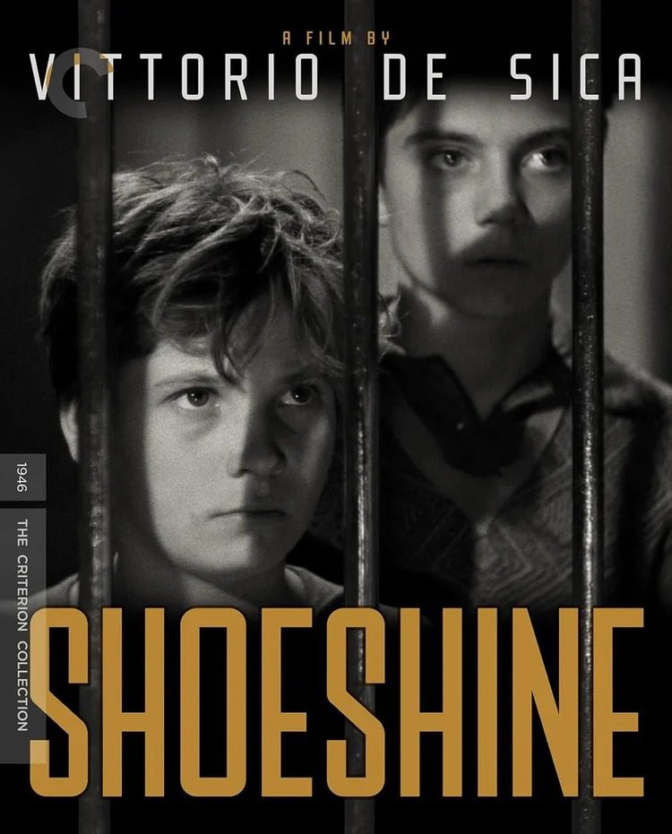 Shoeshine 4k